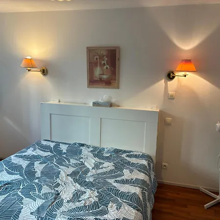 Διαμέρισμα Residilaverde Hypercentre Γκρενόμπλ