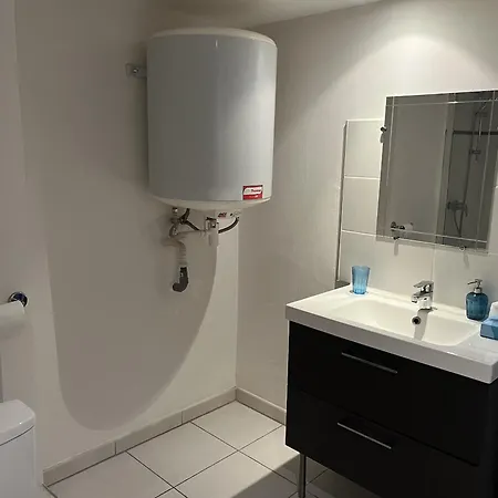 公寓 Residilaverde Hypercentre 格勒诺布尔